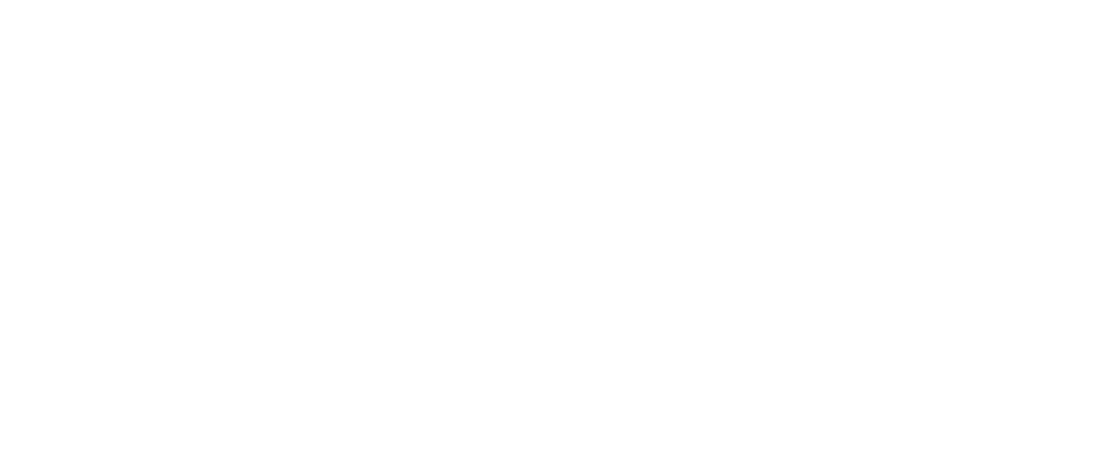 logo DYCE
