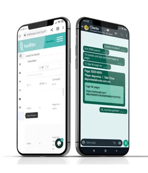 Ligas de Pago de Todito