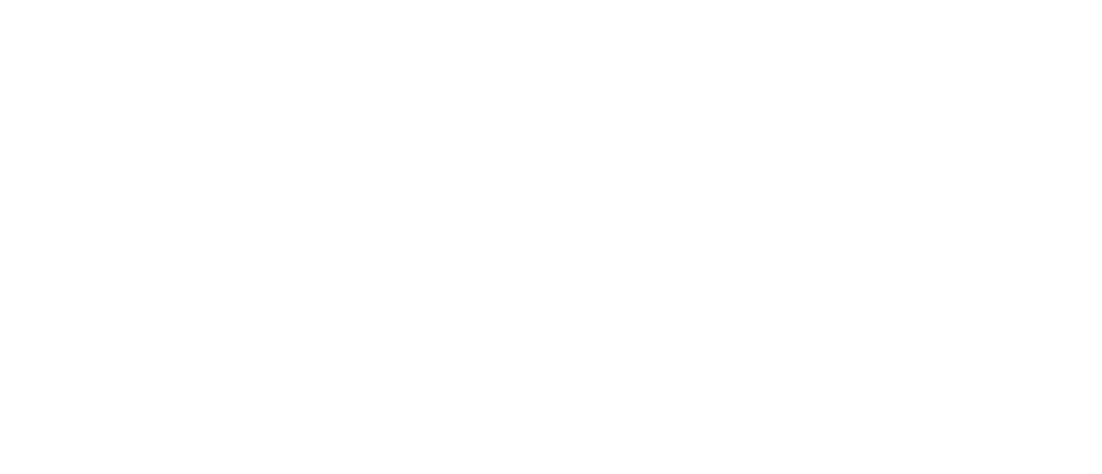 logo Todito